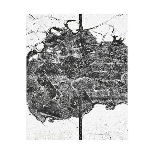 17238309603669266015_2048.jpeg Roger L. Crique | Hidden Visions Collection | The Unknown