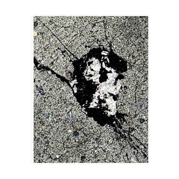 Roger L. Crique | Hidden Visions Collection | I See You