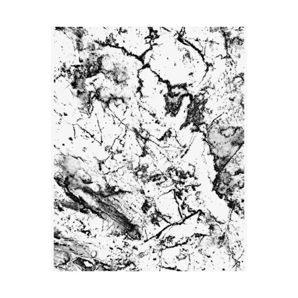 Roger L. Crique | Hidden Visions Collection | Black and White